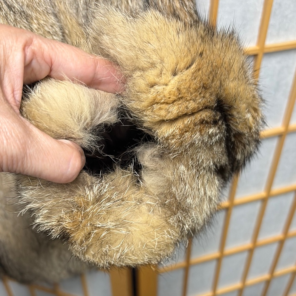 YSL Luxurious Faux Fur Coat - Picture 4 of 6